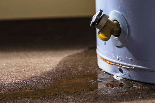 Best Water damage cleanup near me  in East Lansdowne, PA
