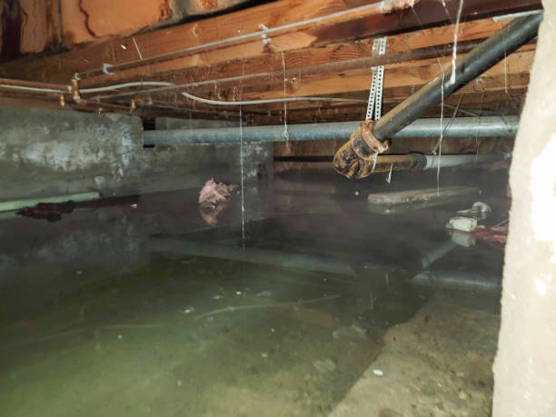 Best Emergency water damage restoration  in East Lansdowne, PA