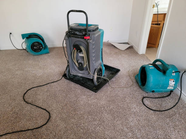 Best Carpet water damage restoration  in East Lansdowne, PA