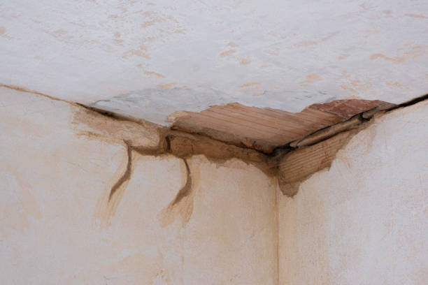 Best Fire Damage Restoration  in East Lansdowne, PA