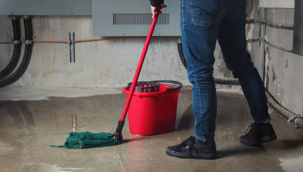 Best Sewage cleanup and water damage restoration  in East Lansdowne, PA