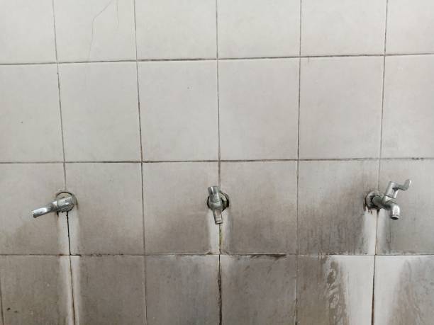 Best Residential water damage restoration  in East Lansdowne, PA