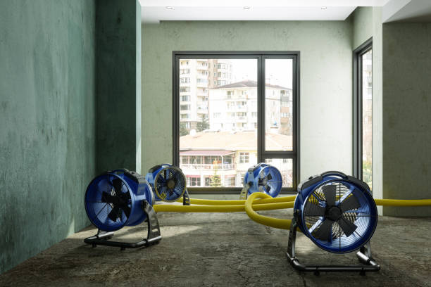 Best Mold removal after water damage  in East Lansdowne, PA